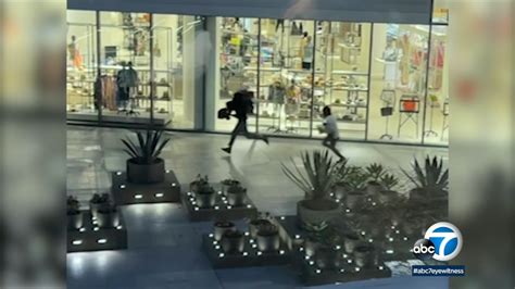 Century City smash and grab: Video shows 14 suspects stealing high.